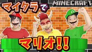 おうくん作 マイクラでマリオのコース プリ姫マイクラ劇場 おうくん作マリオコース Minecraft Youtube子供とtwitter集合